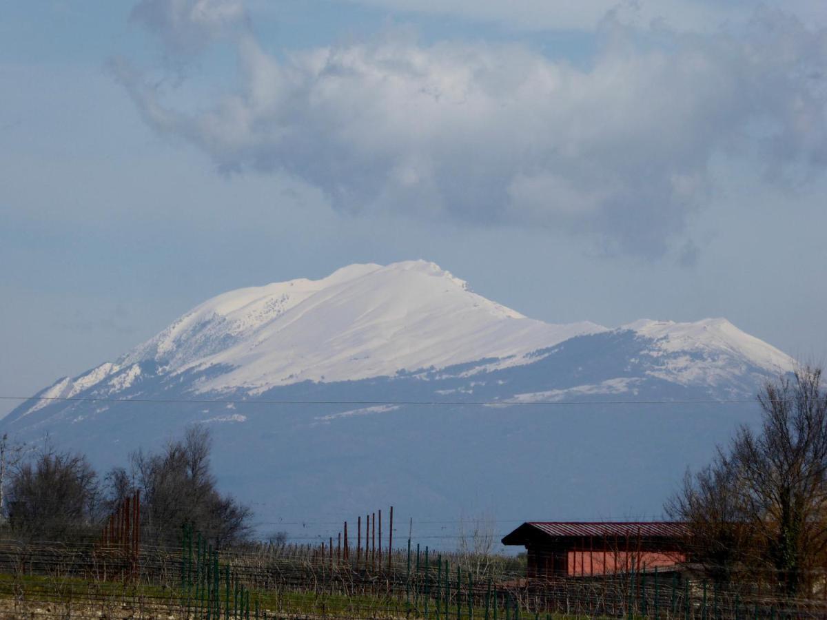 Willa Casa Marele San Martino della Battaglia Zewnętrze zdjęcie